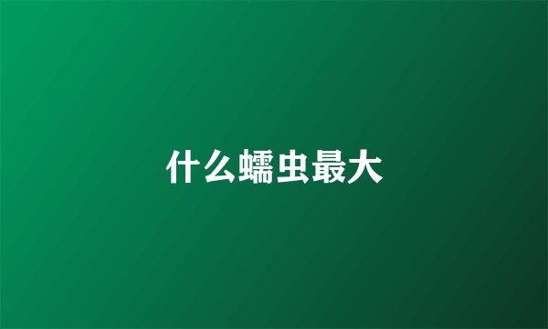 什么蠕虫最大