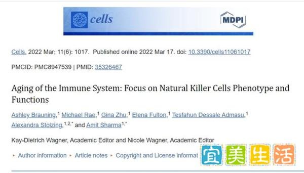 78岁特朗普上台，年龄不过是数字，NK细胞：抗衰老领域中的潜力新星