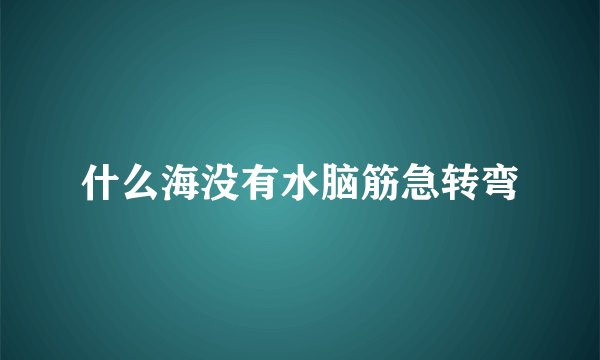 什么海没有水脑筋急转弯