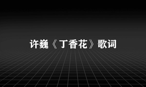 许巍《丁香花》歌词