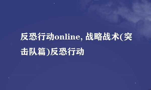 反恐行动online, 战略战术(突击队篇)反恐行动