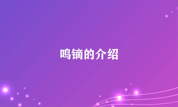 鸣镝的介绍