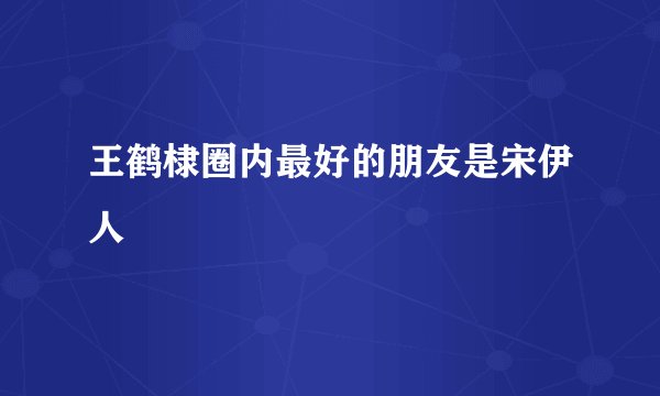 王鹤棣圈内最好的朋友是宋伊人