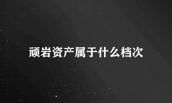顽岩资产属于什么档次