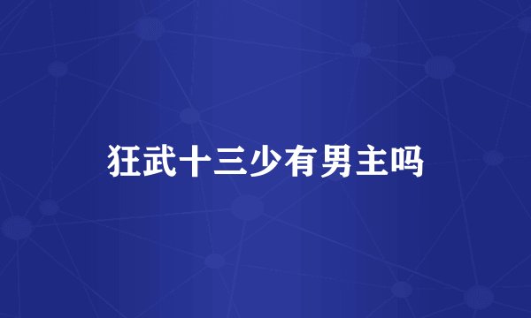 狂武十三少有男主吗