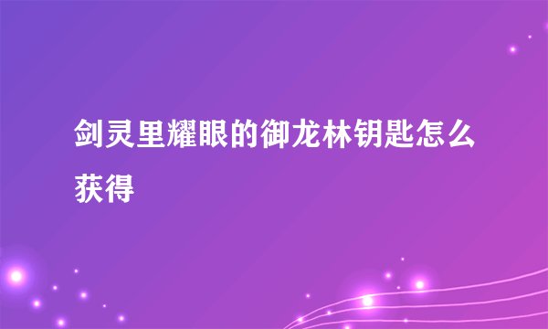 剑灵里耀眼的御龙林钥匙怎么获得