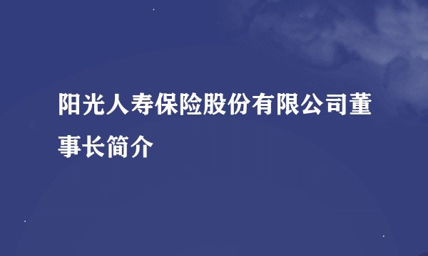 阳光人寿保险股份有限公司董事长简介