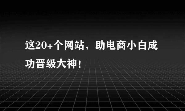 这20+个网站，助电商小白成功晋级大神！