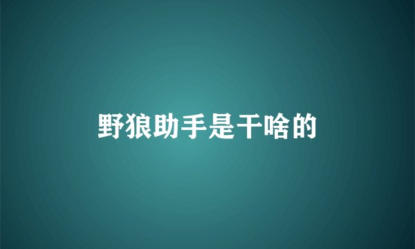 野狼助手是干啥的
