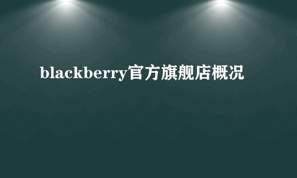 blackberry官方旗舰店概况