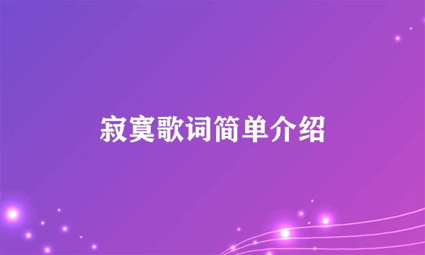 寂寞歌词简单介绍