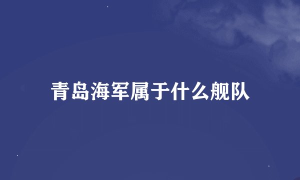 青岛海军属于什么舰队