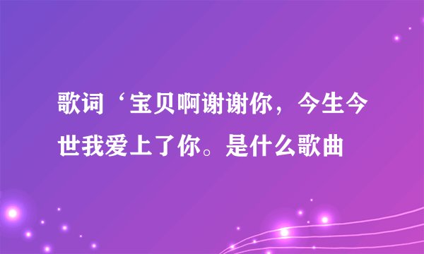 歌词‘宝贝啊谢谢你，今生今世我爱上了你。是什么歌曲