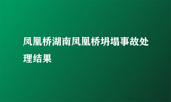凤凰桥湖南凤凰桥坍塌事故处理结果