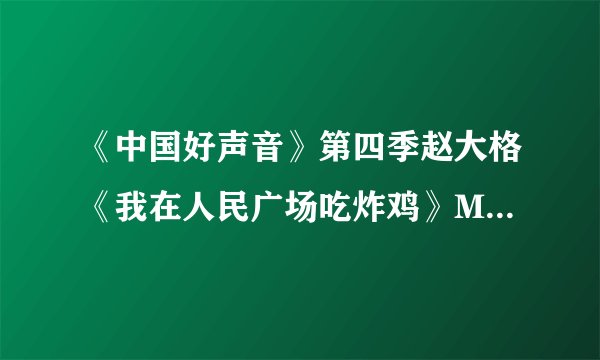 《中国好声音》第四季赵大格《我在人民广场吃炸鸡》MV和歌词
