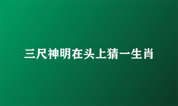 三尺神明在头上猜一生肖