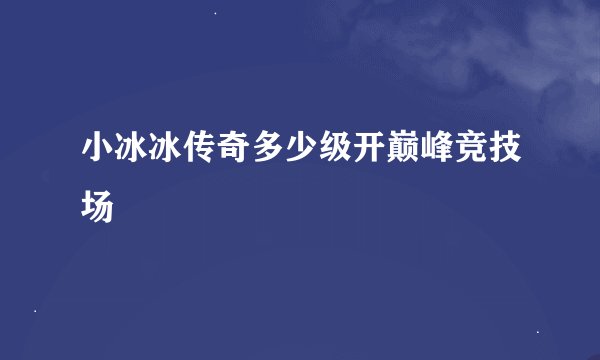 小冰冰传奇多少级开巅峰竞技场