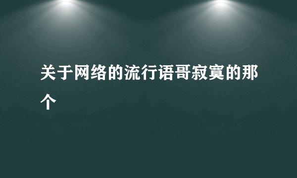 关于网络的流行语哥寂寞的那个