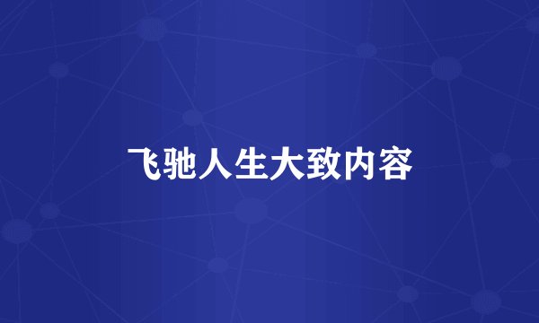 飞驰人生大致内容