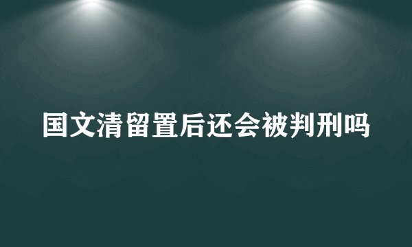 国文清留置后还会被判刑吗