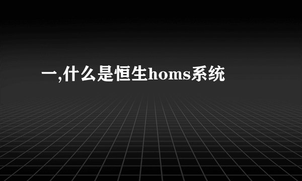 一,什么是恒生homs系统