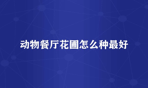 动物餐厅花圃怎么种最好