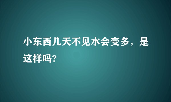 小东西几天不见水会变多，是这样吗?