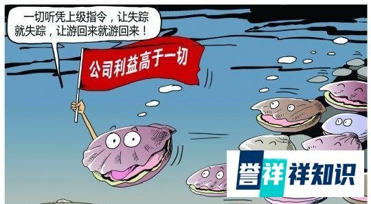 獐子岛扇贝逃跑、饿死导致股民亏损几十亿，董事长却套现达4亿
