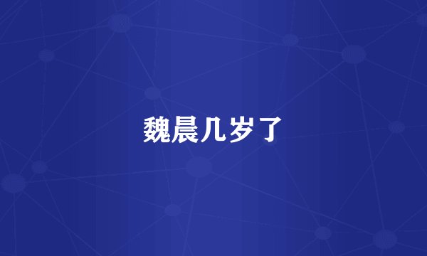 魏晨几岁了