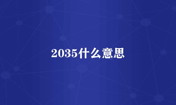 2035什么意思