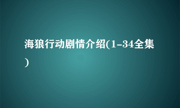 海狼行动剧情介绍(1-34全集)