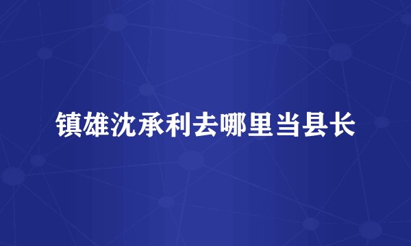 镇雄沈承利去哪里当县长