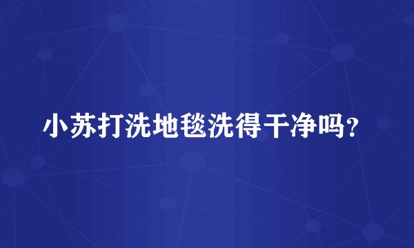 小苏打洗地毯洗得干净吗？