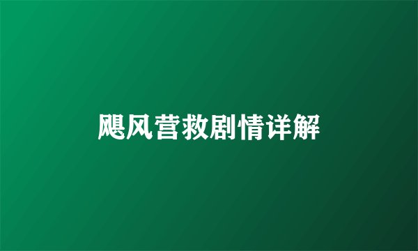 飓风营救剧情详解
