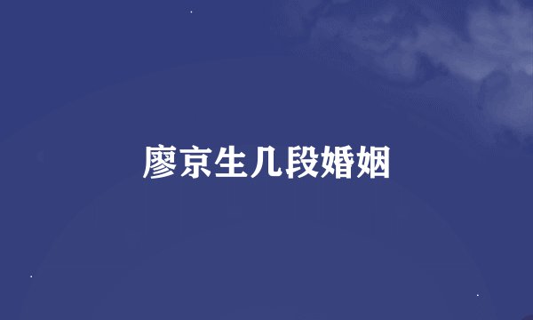 廖京生几段婚姻