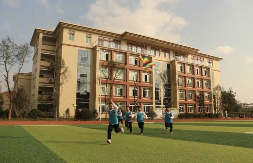 江苏徐州全市暂停线下教学,停止线下教学的原因是什么?