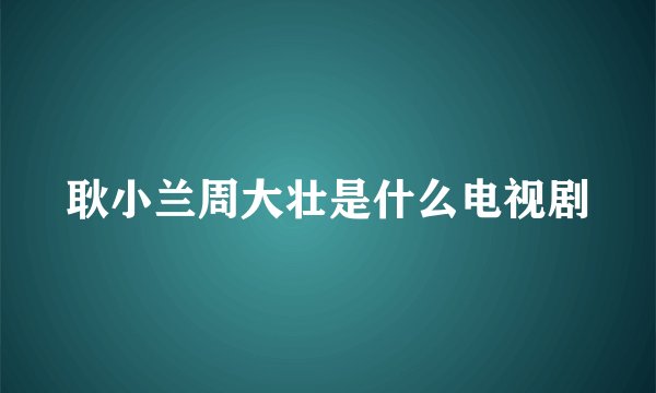 耿小兰周大壮是什么电视剧