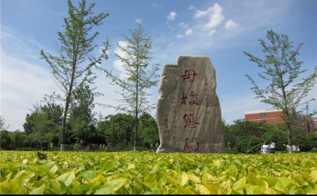 河南科技大学2022录取分数线二本