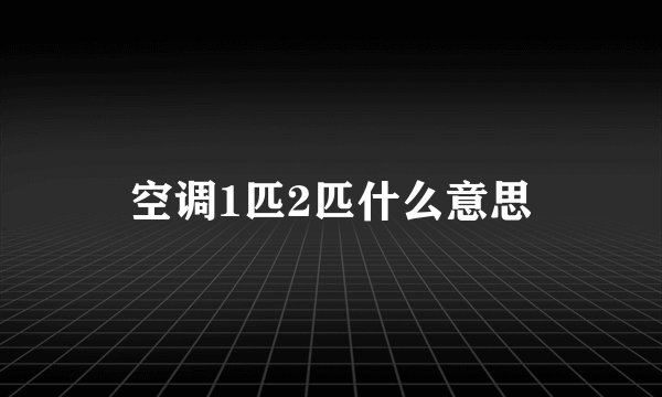 空调1匹2匹什么意思