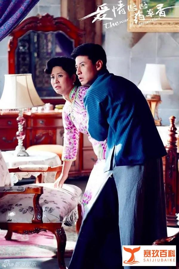 民国版甄嬛传宅斗神剧《爱情悠悠药草香》：男主的3个老婆都怀孕了，孩子却都不是他的