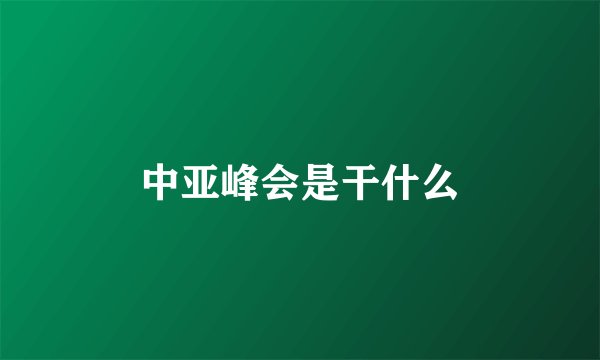 中亚峰会是干什么