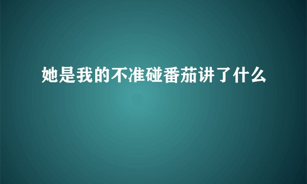她是我的不准碰番茄讲了什么