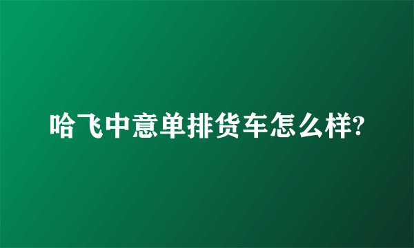 哈飞中意单排货车怎么样?