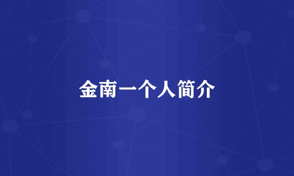 金南一个人简介