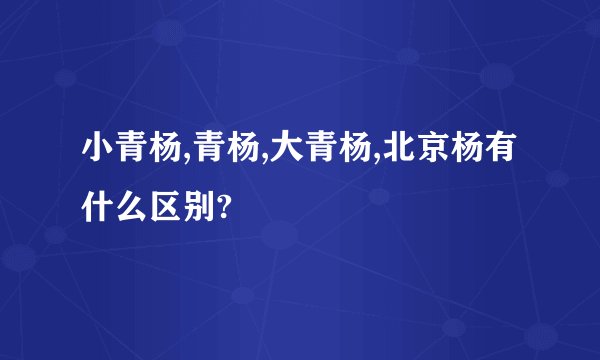 小青杨,青杨,大青杨,北京杨有什么区别?