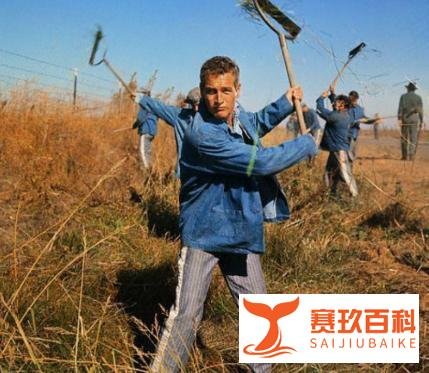 反抗与救赎,电影《铁窗喋血》中的自由之路