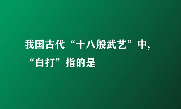 我国古代“十八般武艺”中,“白打”指的是