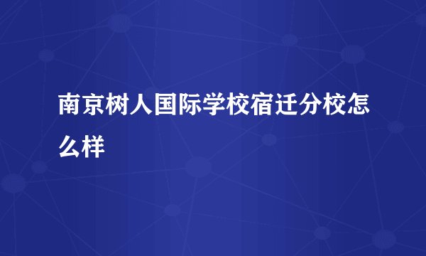 南京树人国际学校宿迁分校怎么样