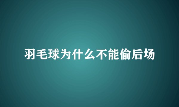 羽毛球为什么不能偷后场