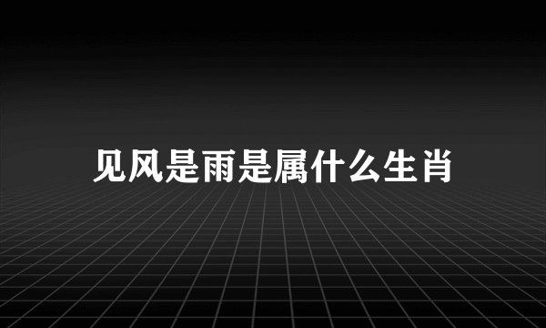 见风是雨是属什么生肖